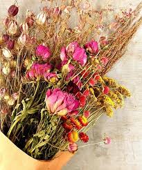 Buy Dried Floral Heads Online - Perfect for Crafts & Décor